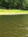 iphonejul-aug242011 082